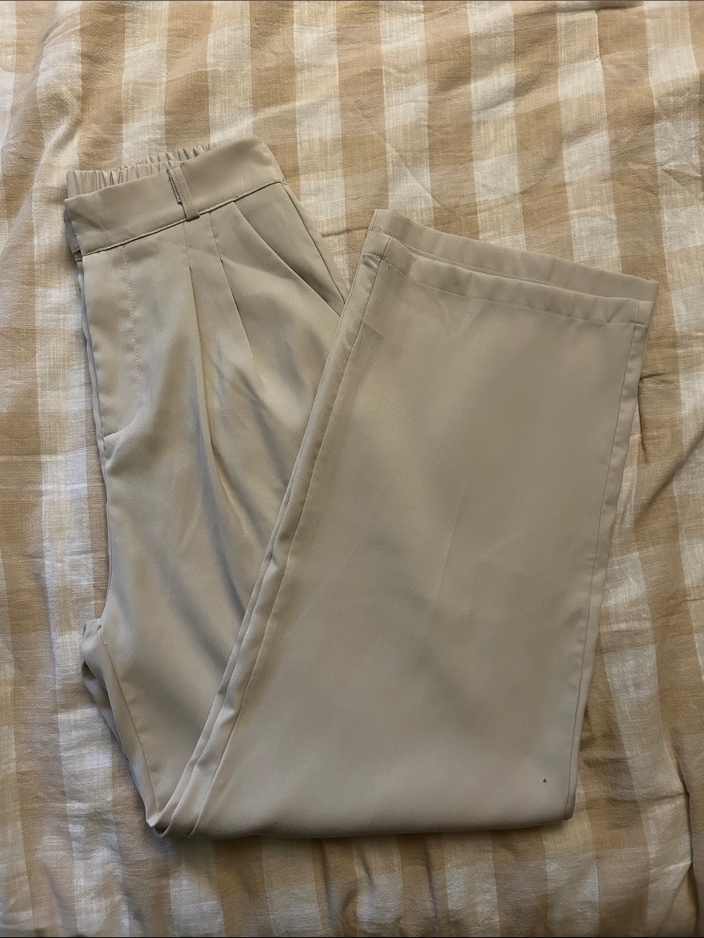 Pleated Wide-Leg Pants in Beige